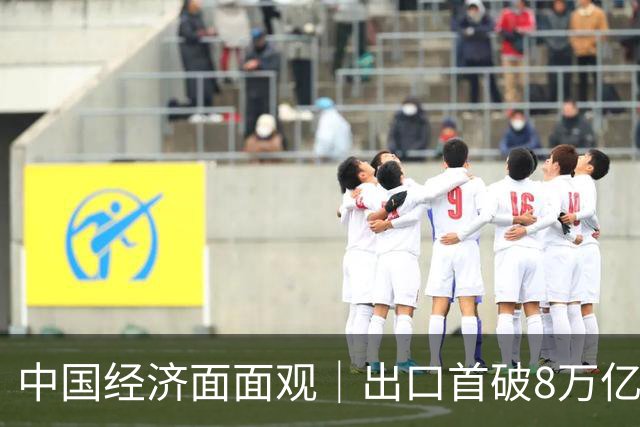 中国经济面面观｜出口首破8万亿：“新”字挑大梁