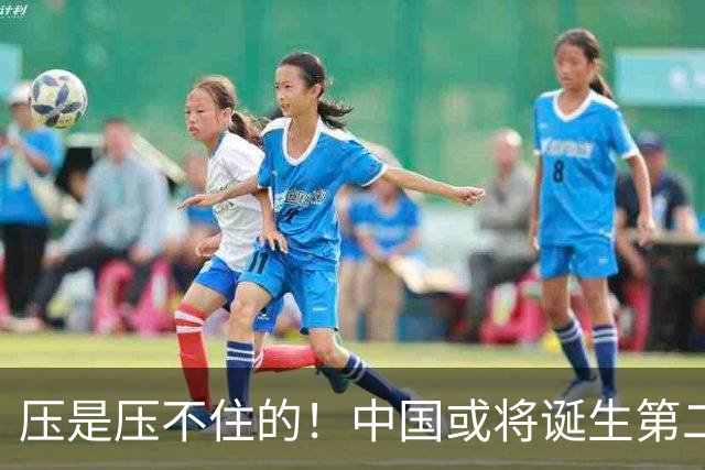 压是压不住的！中国或将诞生第二个华为
