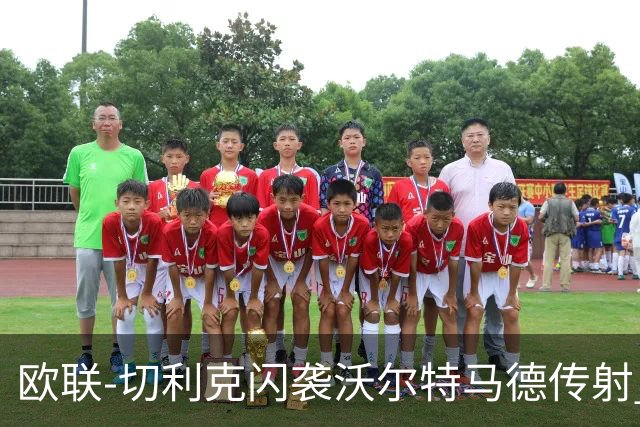 欧联-切利克闪袭沃尔特马德传射 绝杀被吹尤文2-2雷恩