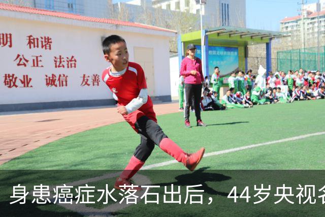 身患癌症水落石出后，44岁央视名嘴杨帆，如今换了另一条路走
