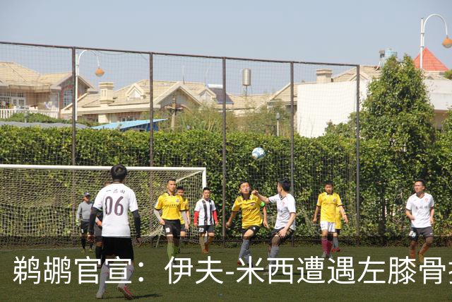 鹈鹕官宣：伊夫-米西遭遇左膝骨挫伤 归期未定