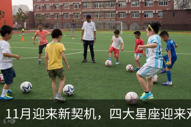 11月迎来新契机，四大星座迎来双重利好，良绿敲门，收入稳步上涨