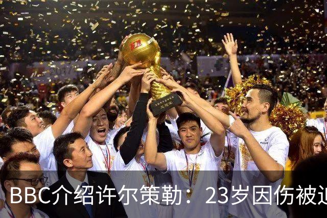BBC介绍许尔策勒：23岁因伤被迫退役，曾在画廊向富豪推销画作